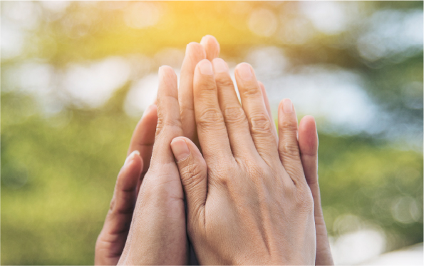 明瞭な料金体系